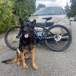 Meet your Posher, Yousuke